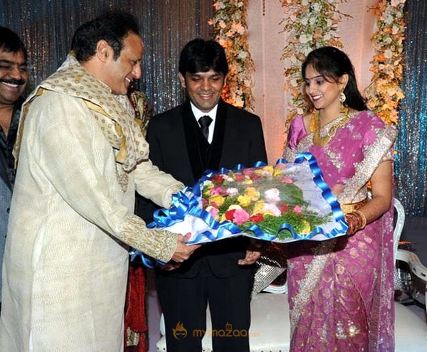 Ambica Krishna Son Marriage Reception