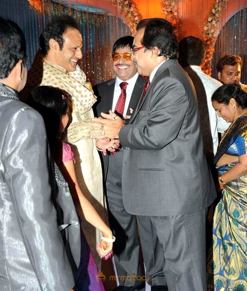 Ambica Krishna Son Marriage Reception