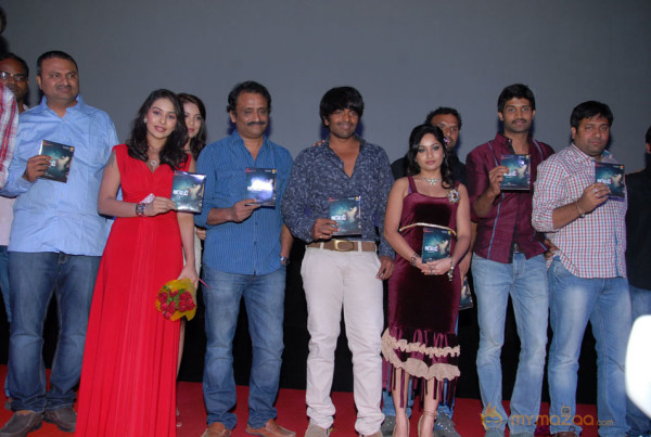 Aravind 2 Audio Release Photos