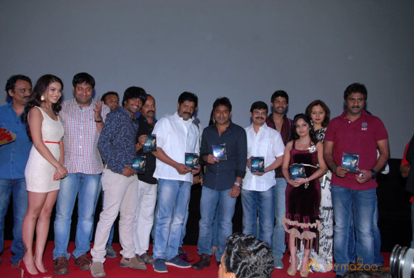 Aravind 2 Audio Release Photos