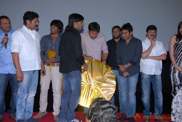 Aravind 2 Audio Release Photos