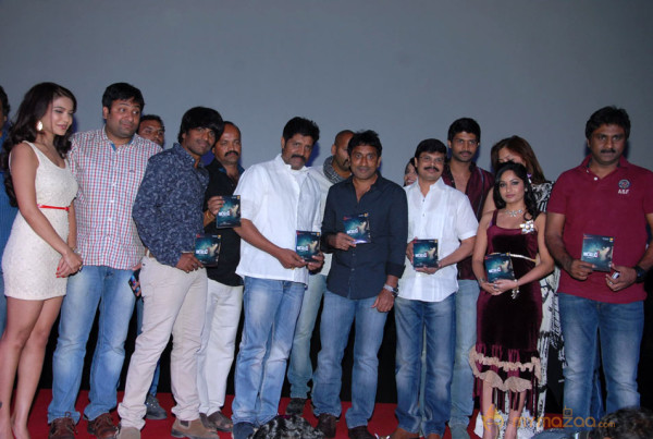 Aravind 2 Audio Release Photos