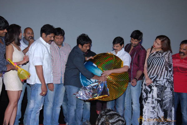 Aravind 2 Audio Release Photos