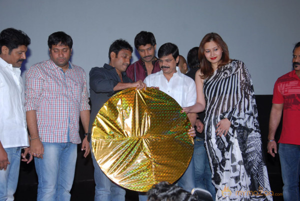 Aravind 2 Audio Release Photos