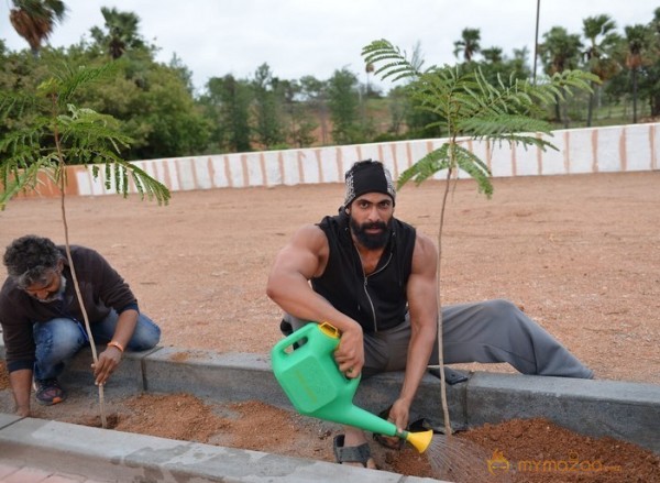 Baahubali Team In Haritha Haram Event