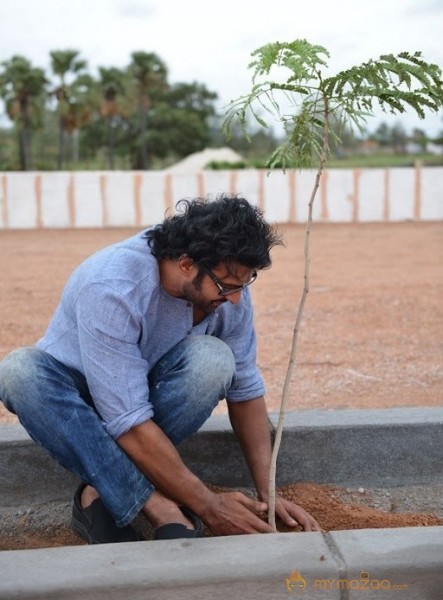 Baahubali Team In Haritha Haram Event