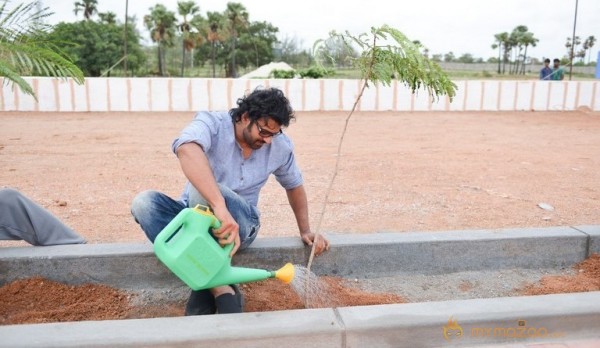 Baahubali Team In Haritha Haram Event