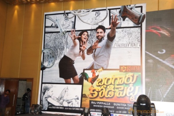 Bangaru Kodipetta Audio Launch Photos