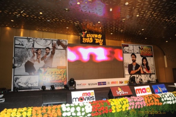 Bangaru Kodipetta Audio Launch Photos