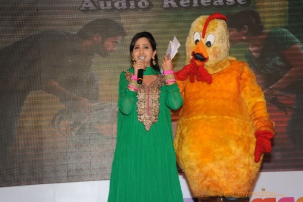 Bangaru Kodipetta Audio Launch Photos