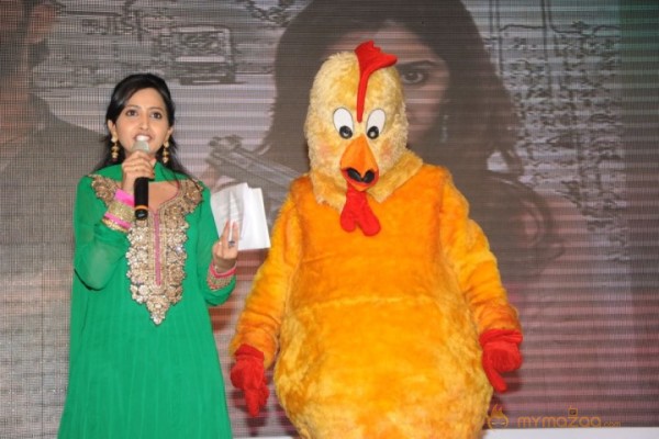 Bangaru Kodipetta Audio Launch Photos