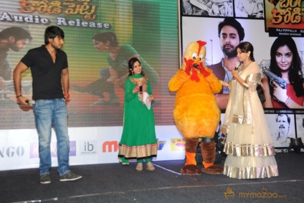 Bangaru Kodipetta Audio Launch Photos