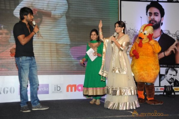 Bangaru Kodipetta Audio Launch Photos