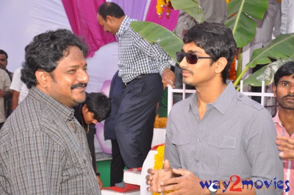 Bellamkonda Suresh Son New Movie Launch 