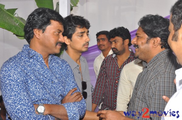 Bellamkonda Suresh Son New Movie Launch 