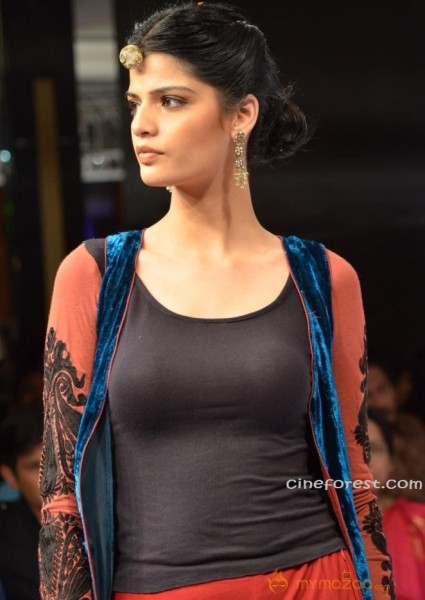 BlenderPride Hyd International Fashion Week 2012 Photos