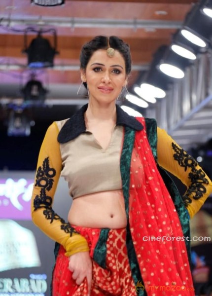 BlenderPride Hyd International Fashion Week 2012 Photos