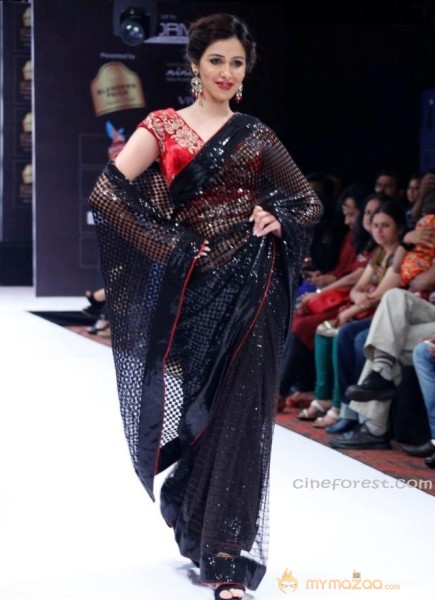 BlenderPride Hyd International Fashion Week 2012 Photos