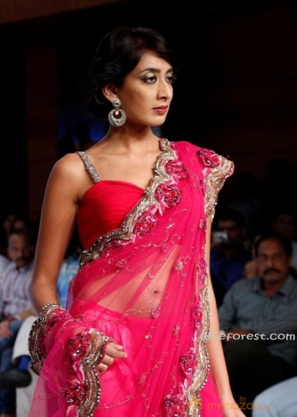 BlenderPride Hyd International Fashion Week 2012 Photos