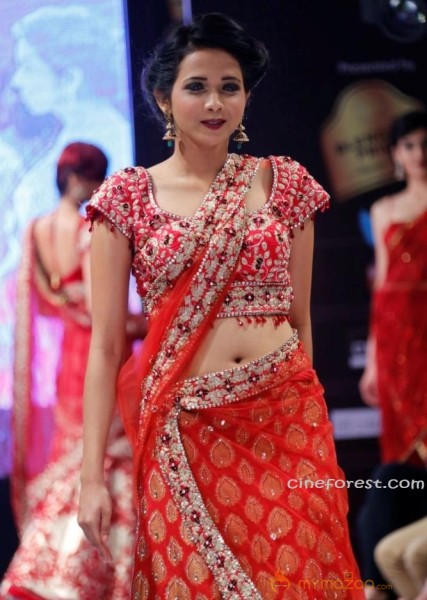 BlenderPride Hyd International Fashion Week 2012 Photos