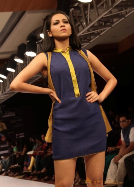 Blenders Pride Fashion Week 2012 2nd Day Photo Gallery