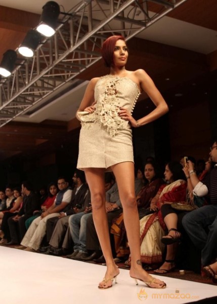 Blenders Pride Fashion Week 2012 2nd Day Photo Gallery