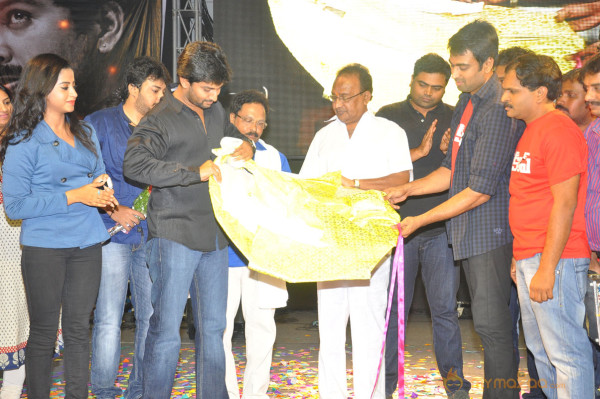 Break Up Movie Audio Launch Gallery 