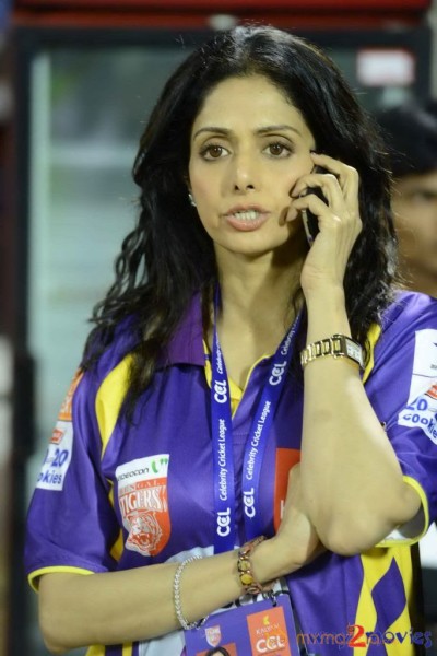 CCL 3 Celebs At LB Stadium 