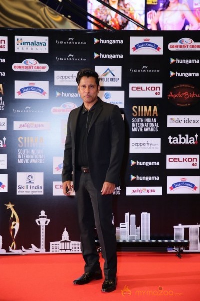 Celebrities at SIIMA 2016 Awards in Singapore