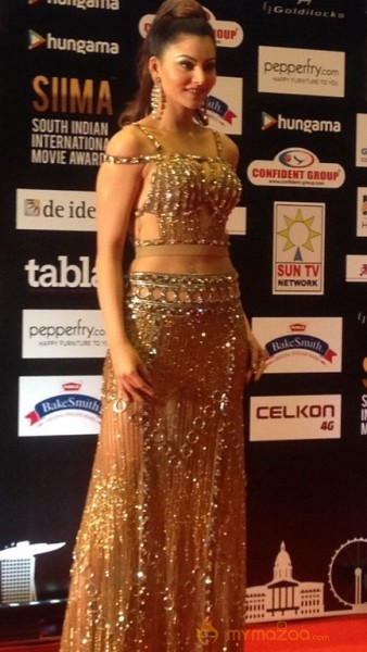 Celebrities at SIIMA 2016 Awards in Singapore