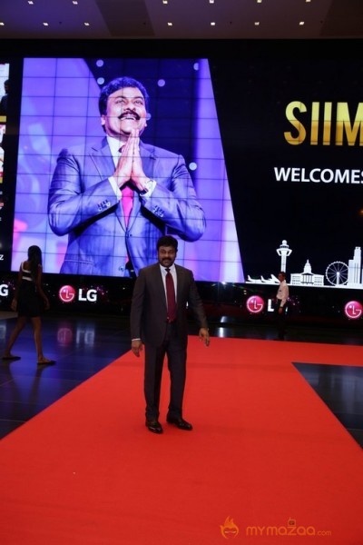 Celebrities at SIIMA 2016 Awards in Singapore