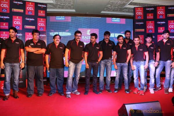 Celebrity Cricket League 3 Logo Launch  