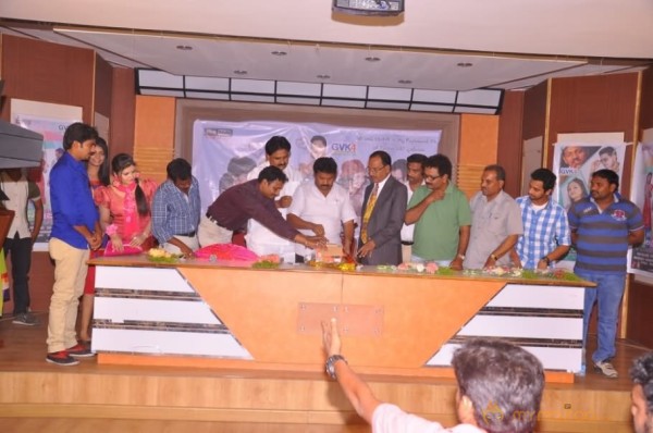 Celebrity Telugu Movie Audio Launch Gallery