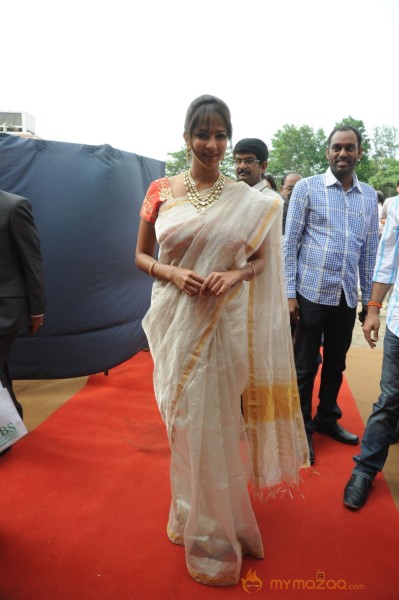 Celebs At Bala Krishna Daughter Marriage Photos