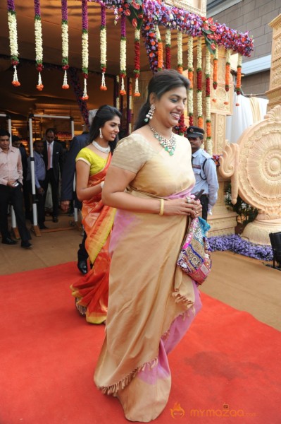 Celebs At Bala Krishna Daughter Marriage Photos