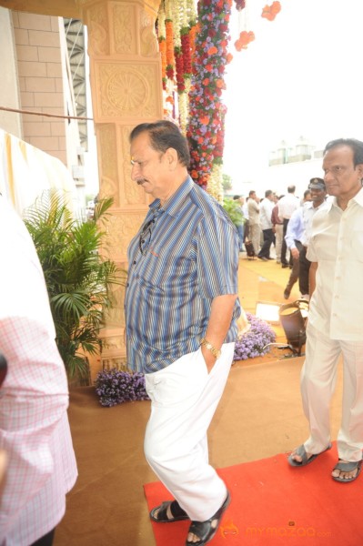 Celebs At Bala Krishna Daughter Marriage Photos