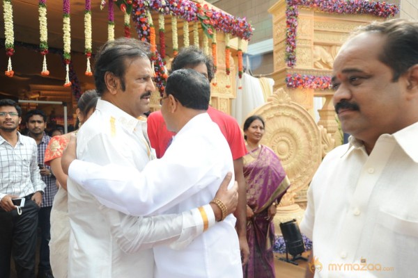 Celebs At Bala Krishna Daughter Marriage Photos