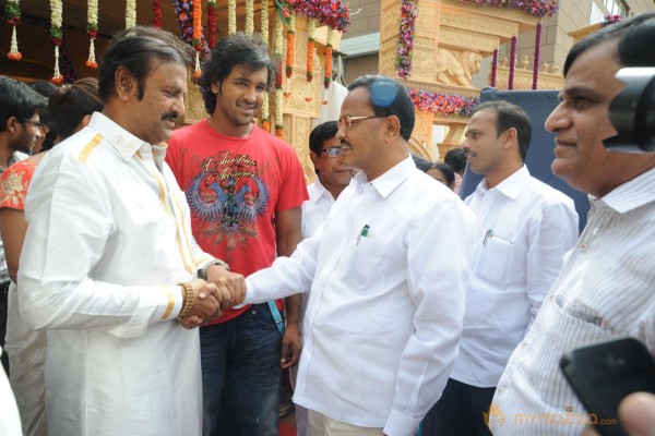 Celebs At Bala Krishna Daughter Marriage Photos