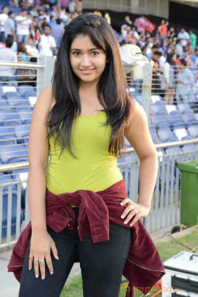 Celebs At Telugu Warriors Vs Bhojpuri Dabanggs CCL 3 Match  