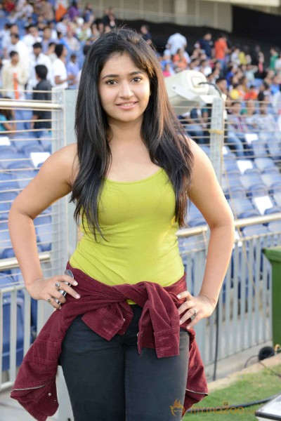 Celebs At Telugu Warriors Vs Bhojpuri Dabanggs CCL 3 Match  