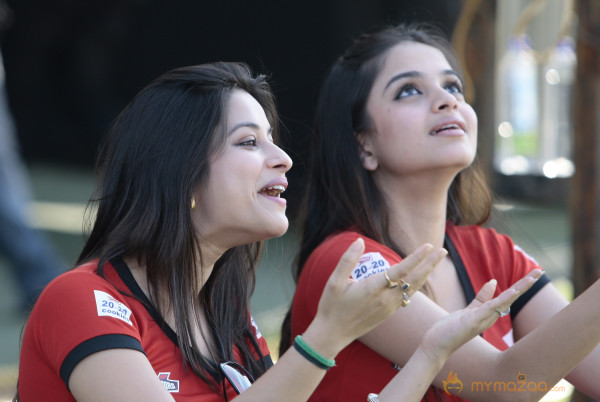 Celebs At Telugu Warriors Vs Bhojpuri Dabanggs CCL 3 Match  