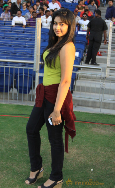 Celebs At Telugu Warriors Vs Bhojpuri Dabanggs CCL 3 Match  