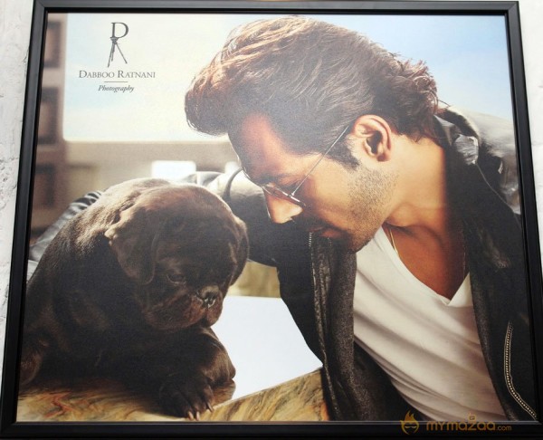 Celebs on Dabboo Ratnani's 2013 Calendar