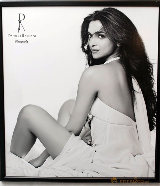 Celebs on Dabboo Ratnani's 2013 Calendar