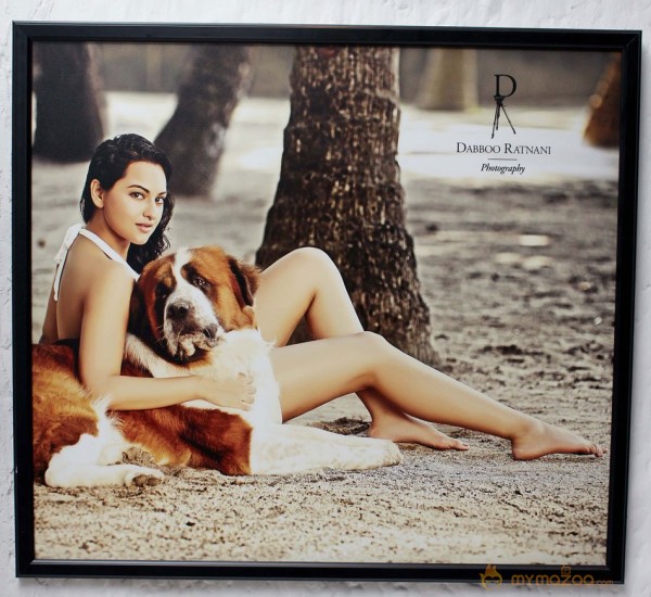 Celebs on Dabboo Ratnani's 2013 Calendar