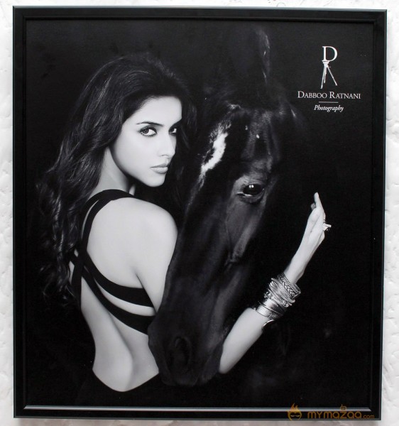 Celebs on Dabboo Ratnani's 2013 Calendar