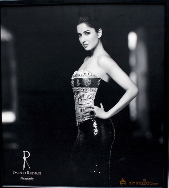 Celebs on Dabboo Ratnani's 2013 Calendar