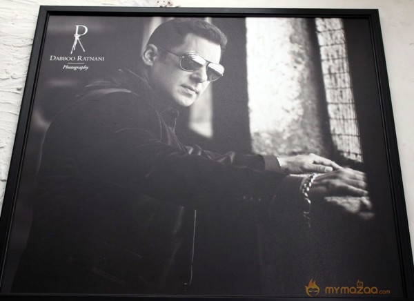 Celebs on Dabboo Ratnani's 2013 Calendar