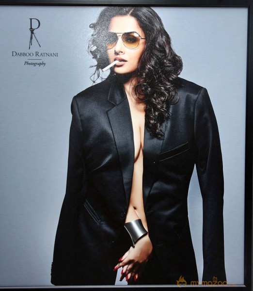 Celebs on Dabboo Ratnani's 2013 Calendar