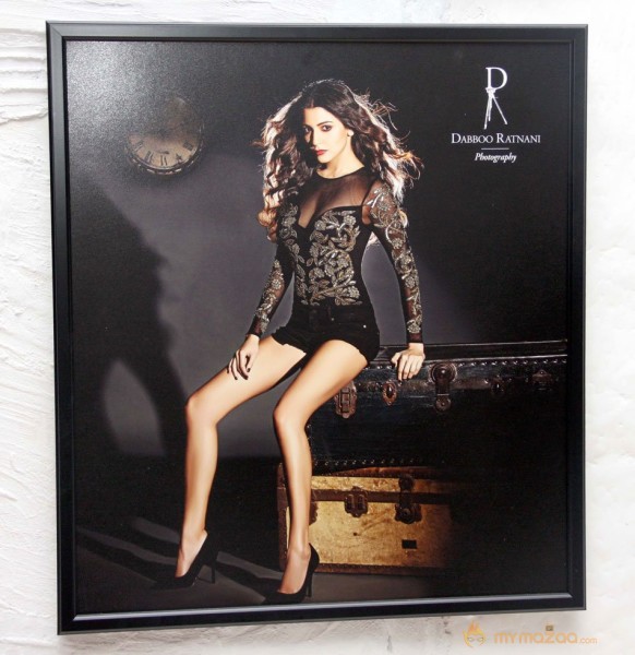 Celebs on Dabboo Ratnani's 2013 Calendar